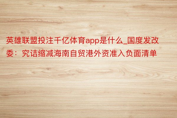 英雄联盟投注千亿体育app是什么_国度发改委：究诘缩减海南自贸港外资准入负面清单