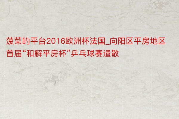 菠菜的平台2016欧洲杯法国_向阳区平房地区首届“和解平房杯”乒乓球赛遣散